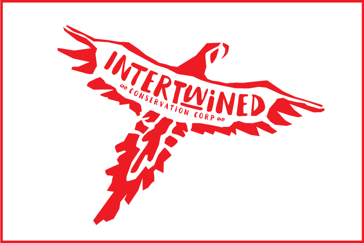 Intertwined Logo